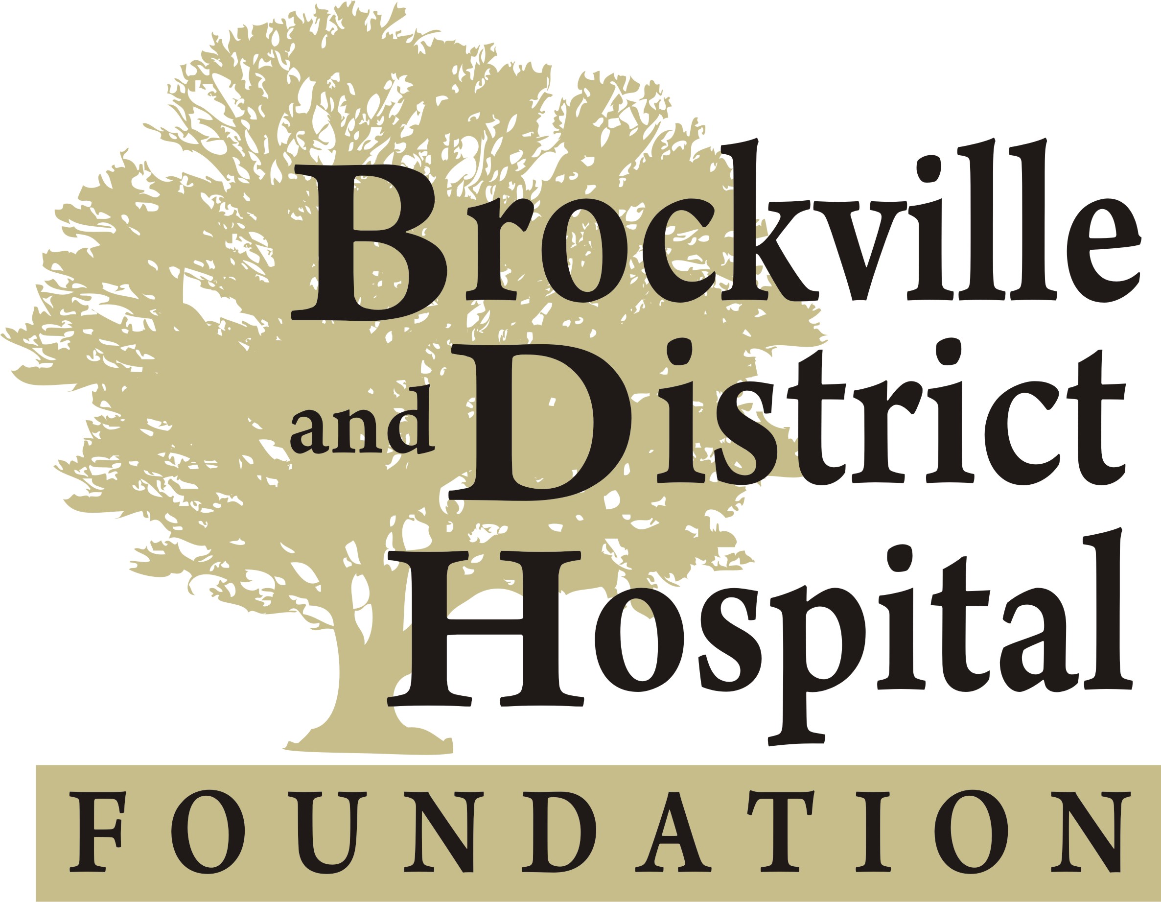 BROCKVILLE AND DISTRICT HOSPITAL FOUNDATION