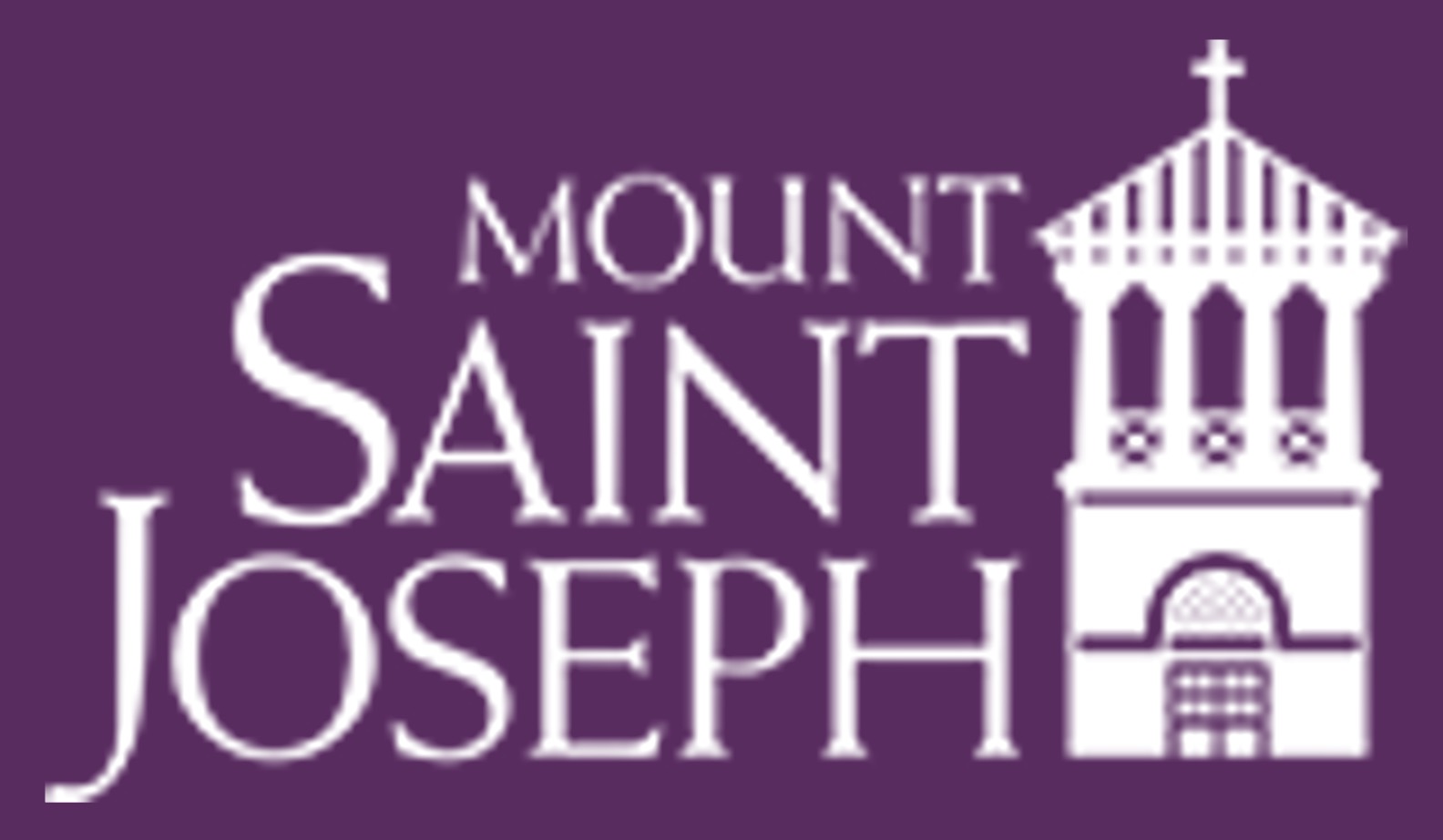 MOUNT SAINT JOSEPH HIGH SCHOOL INC
