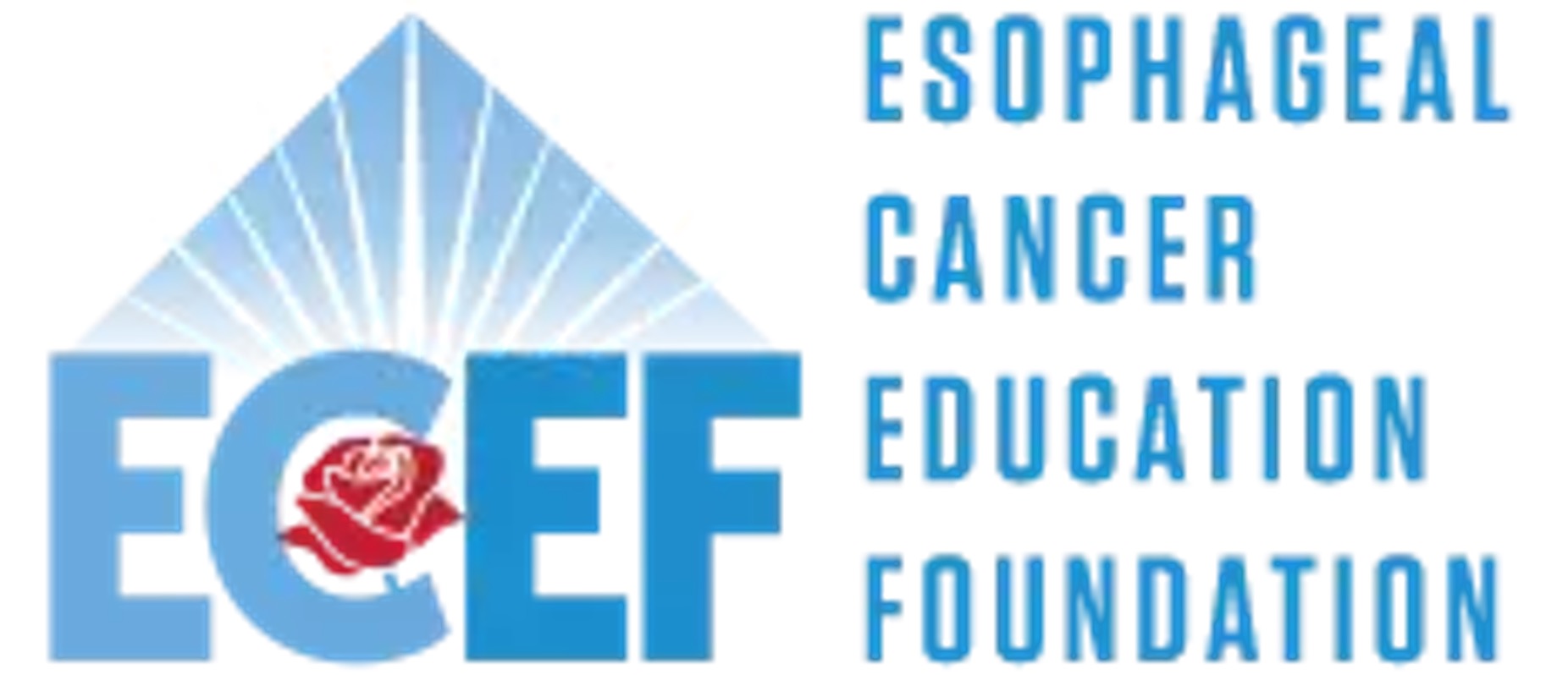 ESOPHAGEAL CANCER EDUCATION FOUNDATION INC