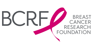 THE BREAST CANCER RESEARCH FOUNDATION