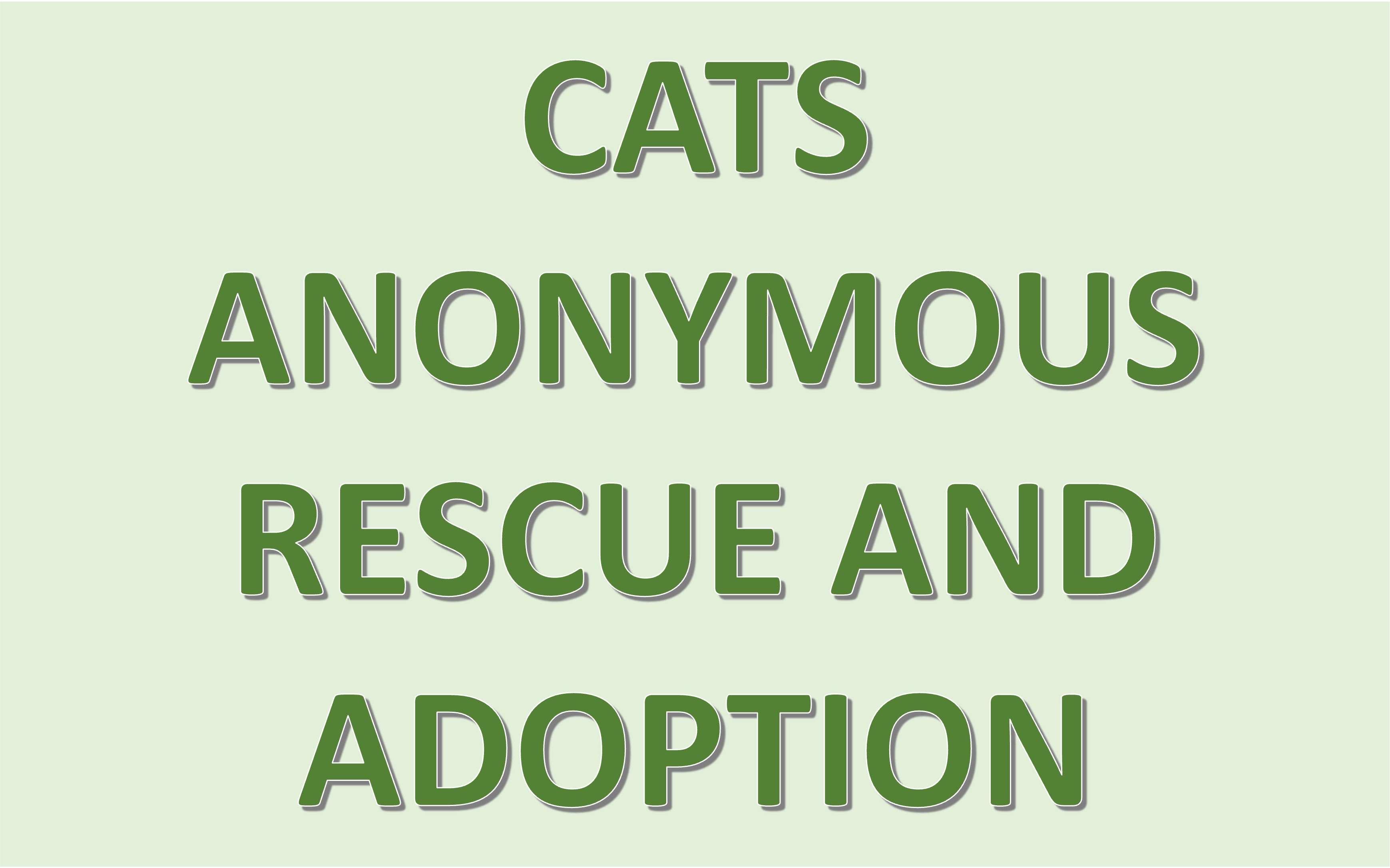 CATS ANONYMOUS RESCUE AND ADOPTION